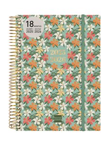 AG.F. 18M ESPIRAL 2D/P E10 DAISY