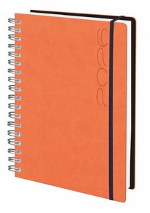 AG.ED. TUCSON t.FEX. 166x240 D/P NARANJA
