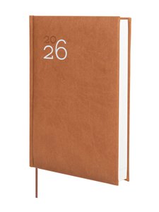AG.F. DYNAMIC MILANO Y10 D/P MARRON