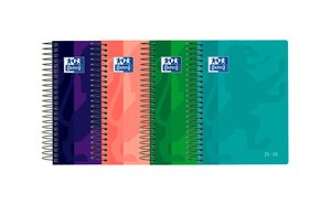 AG.ESC.OXF. EUSK. SCHOOL t.PP 8º D/P