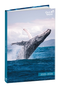 AG.ESC.QUO VADIS 12x17  AMIGOS BALLENA 