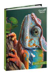 AG.ESC.QUO VADIS 12x17  AMIGOS CAMALEON 