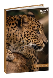 AG.ESC.QUO VADIS 12x17  AMIGOS LEOPARDO 
