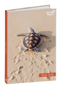 AG.ESC.QUO VADIS 12x17  AMIGOS TORTUGA 