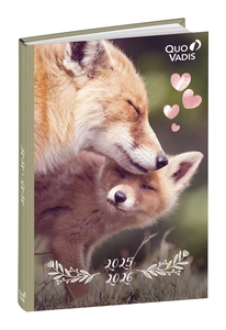 AG.ESC.QUO VADIS 12x17  AMIGOS ZORRO 