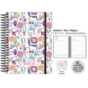 AG.ESC.SF. STUDENT 120x170 D/P PURPLE FL