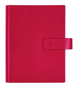 AG.F.CHIP SMART 500 ROJO