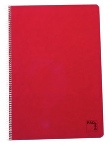 BLOC PACSA INSTITUT Fº 100h HZT. ROJO