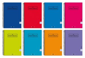 BLOC PAPYRUS UNICLAS Fº 80h CD.4 SURT.