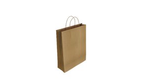 BOLSA PAPEL KRAFT VERJU. 32x40 RECI P/50