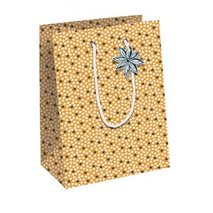 BOLSA PAPEL KRAFT  25x22 CITRICOS P/6