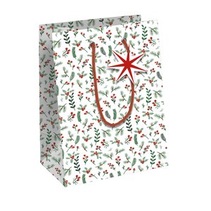 BOLSA PAPEL KRAFT  25x22 COSI NAV. P/6