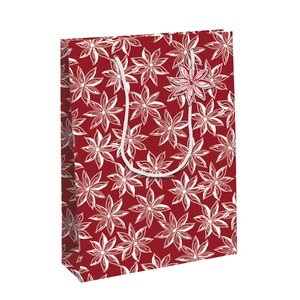 BOLSA PAPEL KRAFT  33x26 CITRICOS P/6