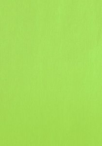 BOLSA PAPEL TV CEL. 20x28 PISTACHO P/25
