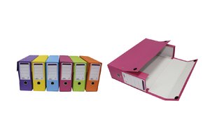 CAJA TRANSF.MARIOLA Fº C/OLLAOS VIOLETA