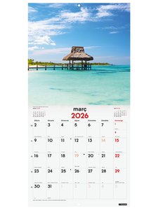 CAL.FIN.CAT. PARET 300x300 P.PARADISIACS
