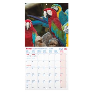 CAL.DOHE PARED MES 300x300 AVES EXOTICAS