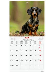 CAL.FIN. INT. PARED 180x180 DOGS