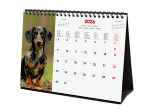 CAL.FIN. INT. SOBR. 210x150 DOGS