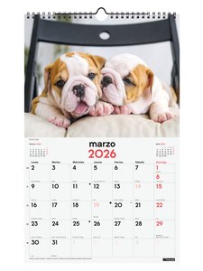 CAL.FIN. PARED 250x400 CACHORROS