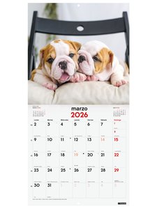 CAL.FIN. PARED 300x300 CACHORROS