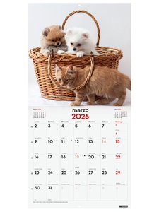 CAL.FIN. PARED 300x300 PERROS Y GATOS