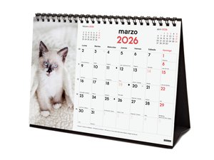 CAL.FIN. SOBR. 210x150 GATITOS