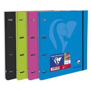 CARPEBLOC CLAIREFONTAINE A4 4AN.100h SUR