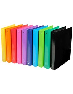 CARPETA EXACOMPTA CARTON A4 4 AN.30 SURT
