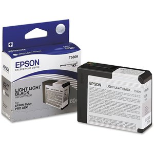 CART.IJ.EPSON T580900 GRIS CLARO
