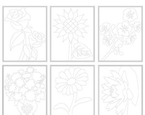 CUADRO NIEFENVER MOD.FLORES PACK DE 6