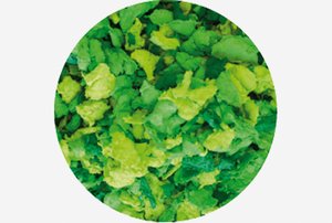 GOMA EVA  FIXO VIRUTAS 200 g VERDE-MUSGO