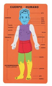 GOMA EVA FIXO PUZZLE 20x32 CUERPO HUMANO