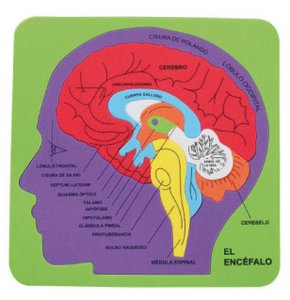 GOMA EVA FIXO PUZZLE 21x21 SISTEMA CEREB