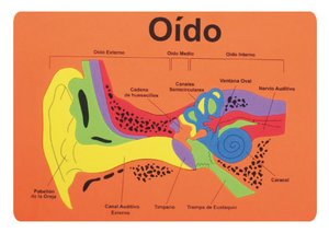 GOMA EVA FIXO PUZZLE 26x36 SISTEMA AUDIT