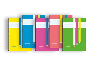 LAMELA BLOC ERIGGAN t.PP Fº 80h CV.4