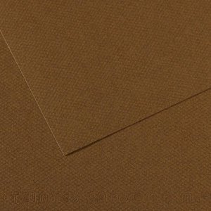 LAMINA MI-TEINTES 50x65 PAQ.10h (501)