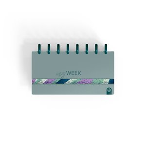 AG.CARCHIVO INGENIOX  MY WEEK TURQUESA
