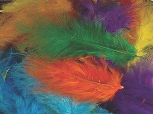 PLUMAS COLLAGE NIEFENVER BOLSA 120 UD