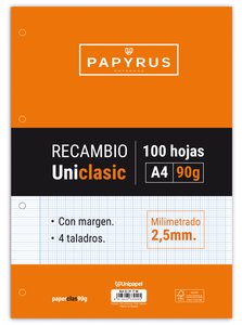 RECAMBIO PAPYRUS A4 100h 4 TAL.MM C/M