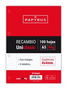 RECAMBIO PAPYRUS A5 100h 4 TAL.CD.4 C/M
