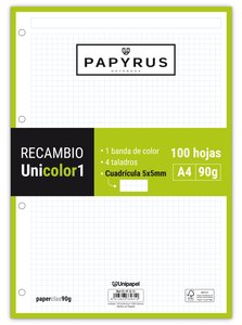RECAMBIO PAPYRUS A4 100h 4 TAL.CD.5 LIM