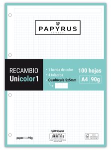 RECAMBIO PAPYRUS A4 100h 4 TAL.CD.5 MIN