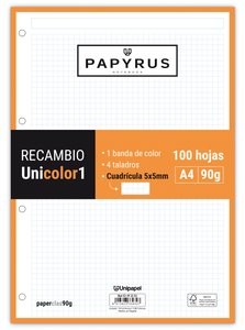 RECAMBIO PAPYRUS A4 100h 4 TAL.CD.5 NAR