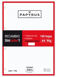 RECAMBIO PAPYRUS A4 100h 4 TAL.CD.5 ROJ
