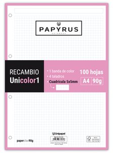 RECAMBIO PAPYRUS A4 100h 4 TAL.CD.5 ROS