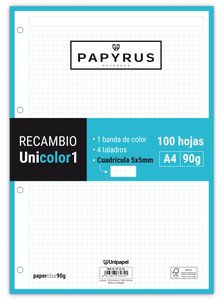 RECAMBIO PAPYRUS A4 100h 4 TAL.CD.5 TUR