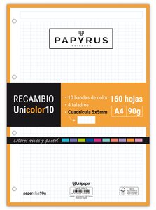 RECAMBIO PAPYRUS A4 160h 4 TAL.CD.5