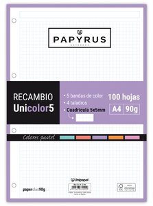 RECAMBIO PAPYRUS A4 100h 4 TAL.CD.5 PAS