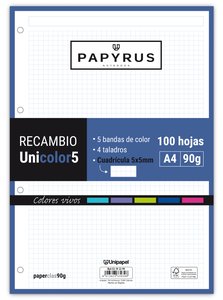 RECAMBIO PAPYRUS A4 100h 4 TAL.CD.5 VIV